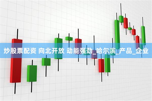 炒股票配资 向北开放 动能强劲_哈尔滨_产品_企业