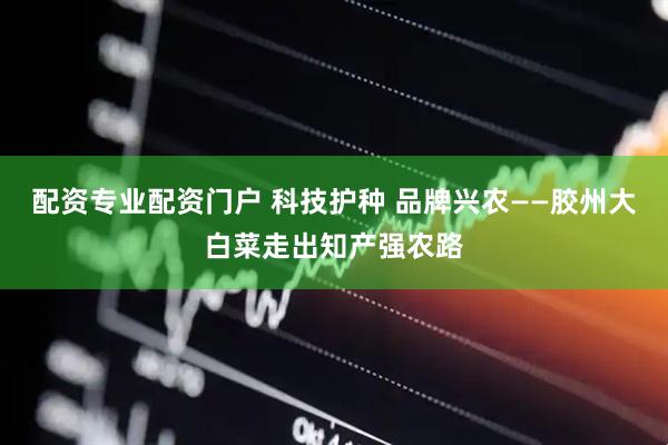 配资专业配资门户 科技护种 品牌兴农——胶州大白菜走出知产强农路