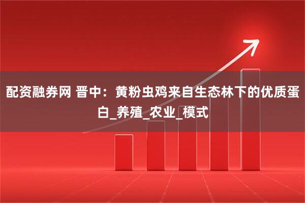 配资融券网 晋中：黄粉虫鸡来自生态林下的优质蛋白_养殖_农业_模式